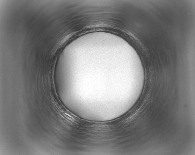 X0000053110921200508081221