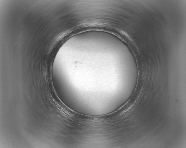 X0000053110922200508081221