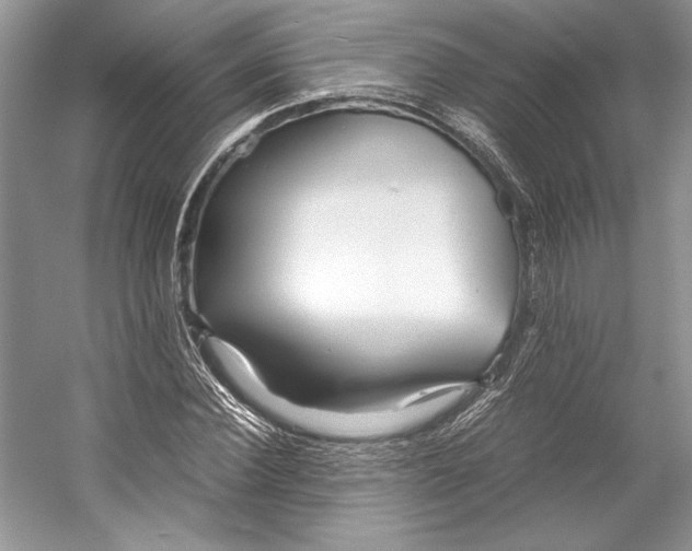 X0000053110924200508081221