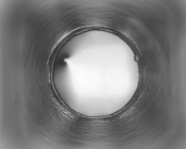 X0000053110925200508081221