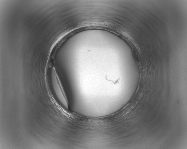 X0000053110928200508081221