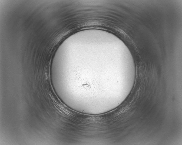 X0000053110929200508081221