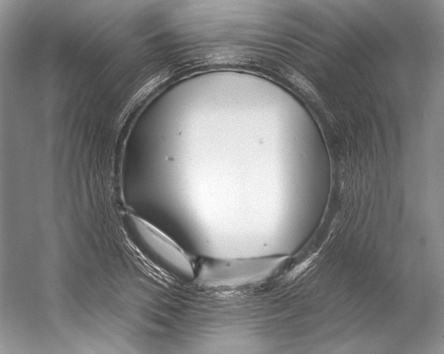 X0000053110930200508081221