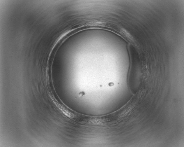 X0000053110932200508081221