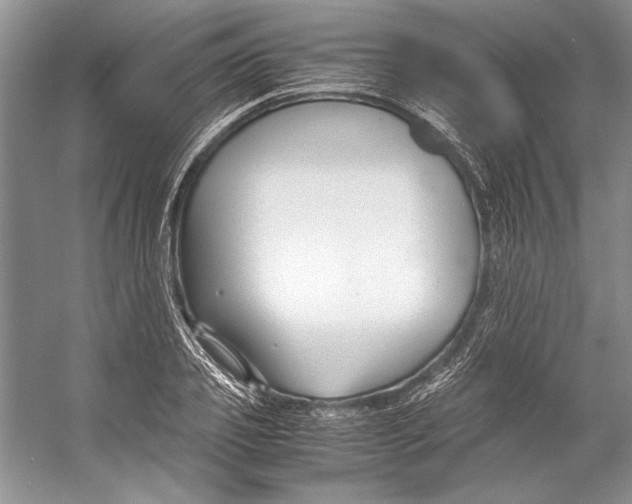 X0000053110933200508081221