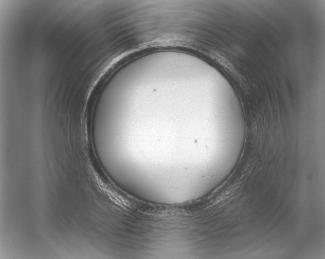 X0000053110934200508081221