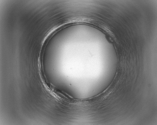 X0000053110936200508081221