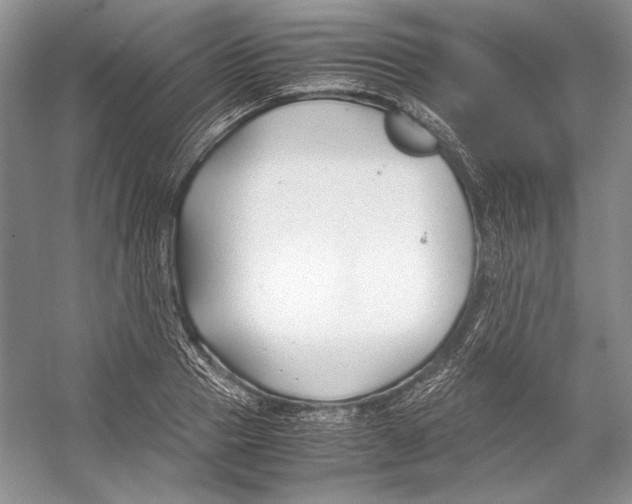 X0000053110937200508081221