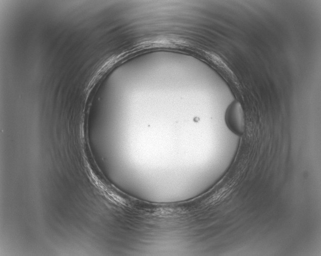 X0000053110938200508081221