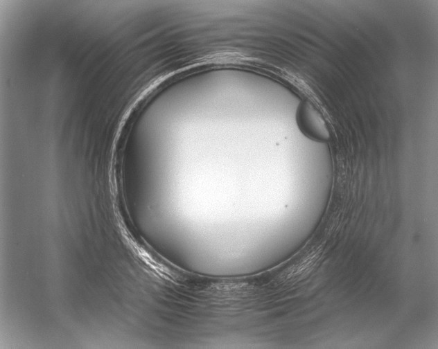 X0000053110939200508081221