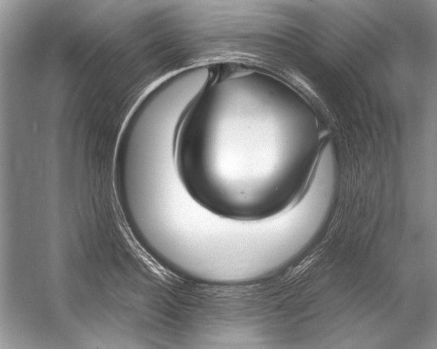 X0000053110940200508081221