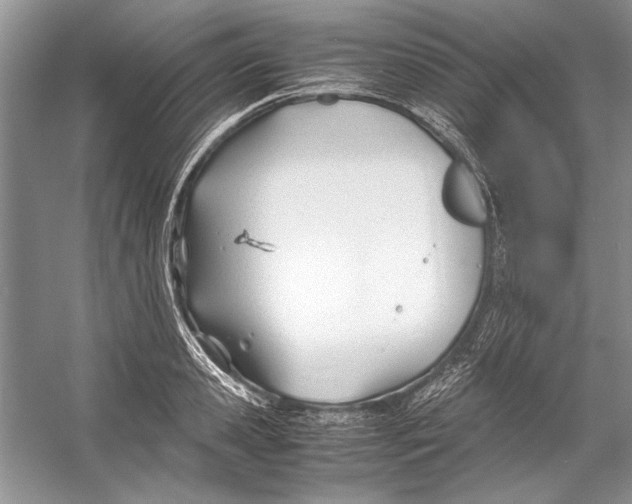 X0000053110941200508081221