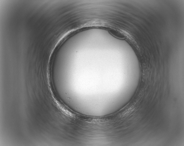 X0000053110942200508081222