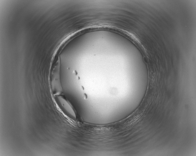 X0000053110943200508081222