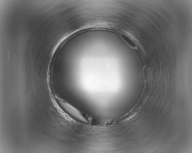 X0000053110944200508081222