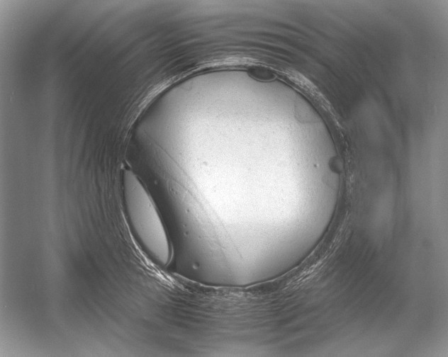 X0000053110945200508081222