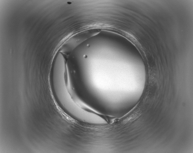 X0000053110946200508081222