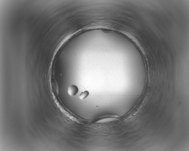 X0000053110949200508081222