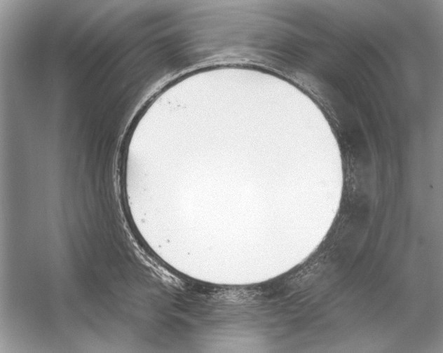 X0000053110950200508081222