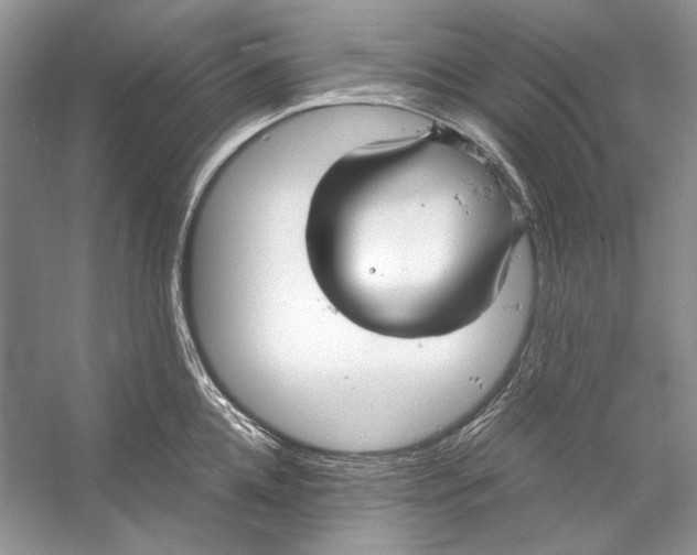 X0000053110952200508081222