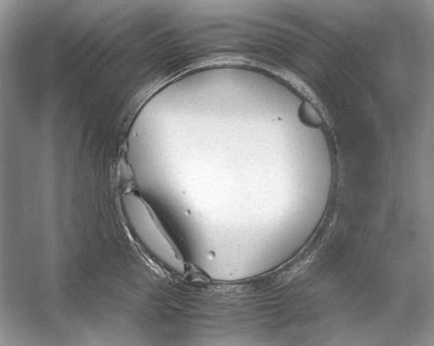 X0000053110953200508081222