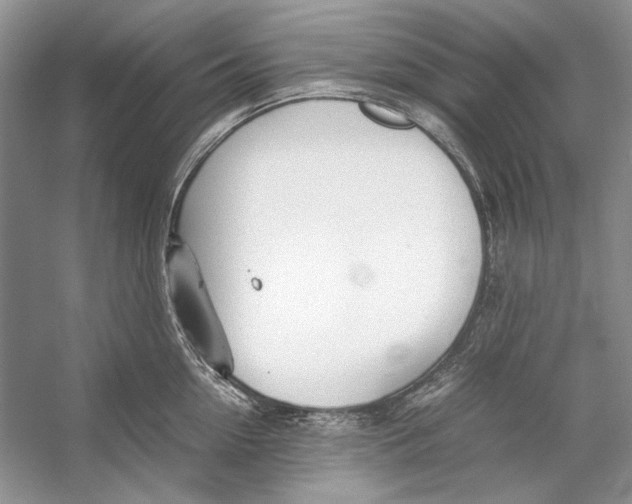 X0000053110954200508081222