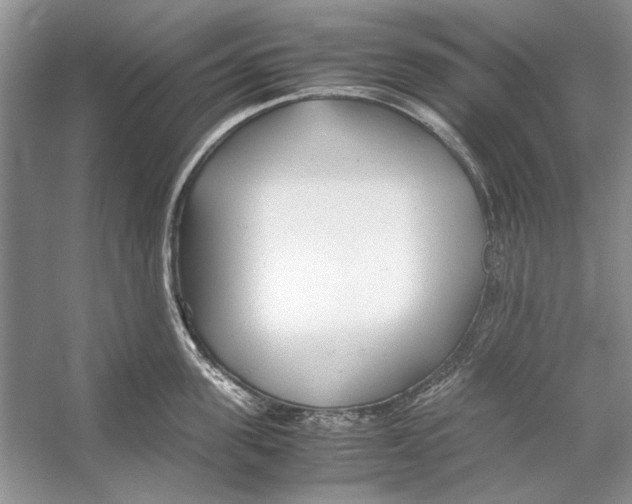 X0000053110955200508081222