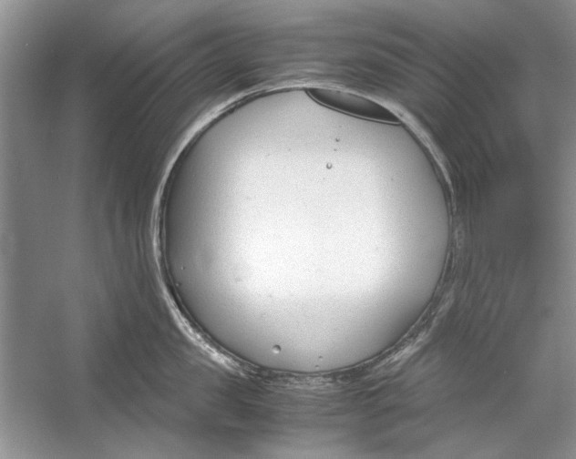 X0000053110957200508081222