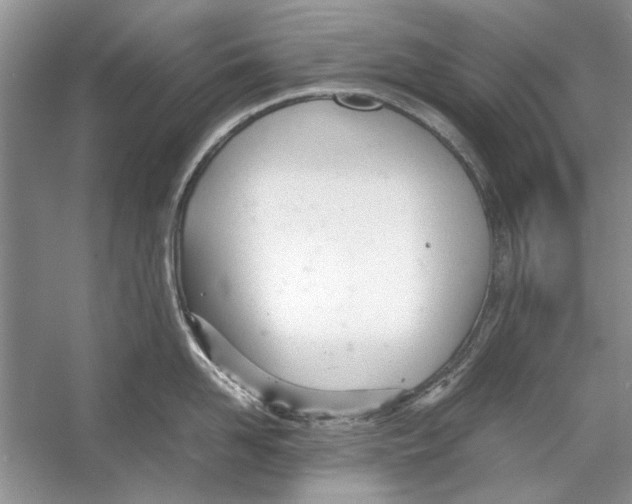 X0000053110958200508081222