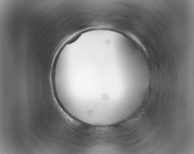 X0000053110959200508081222