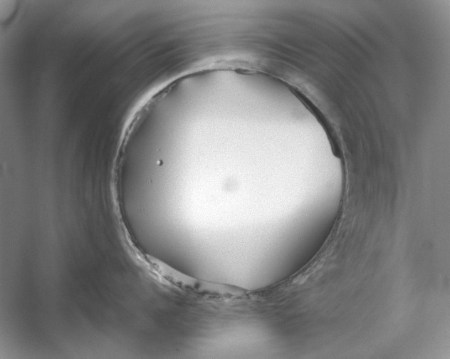 X0000053110960200508081222