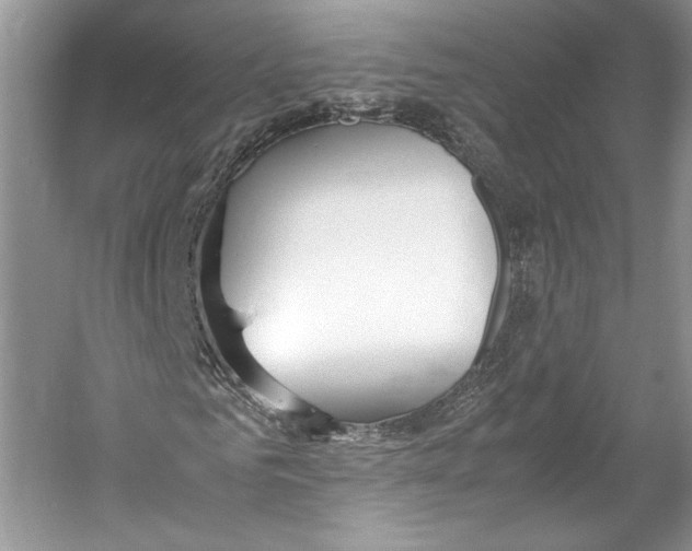 X0000053110961200508081221