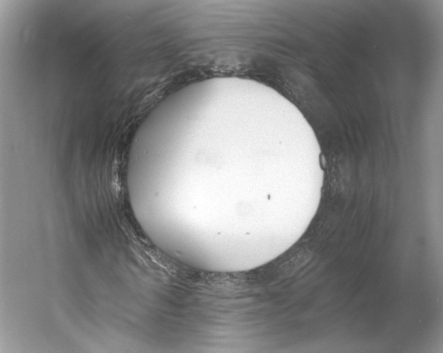 X0000053110962200508081221