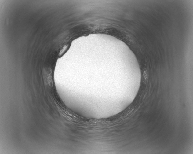 X0000053110963200508081221