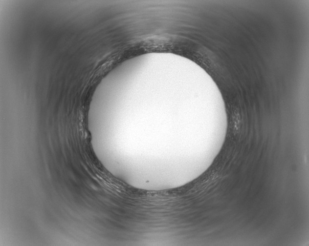 X0000053110964200508081221