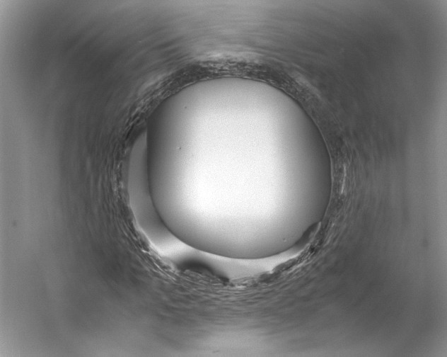 X0000053110965200508081221