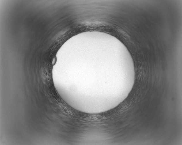 X0000053110966200508081221