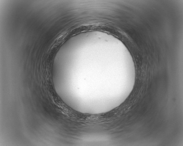 X0000053110967200508081221