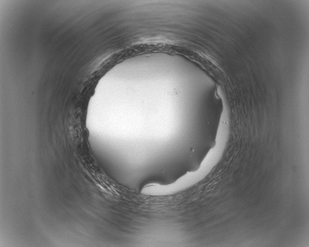 X0000053110968200508081221