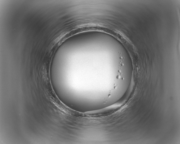 X0000053110969200508081221