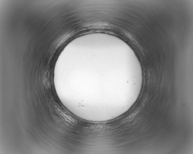 X0000053110970200508081221