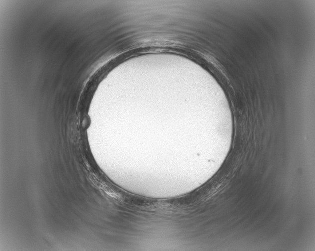 X0000053110971200508081221