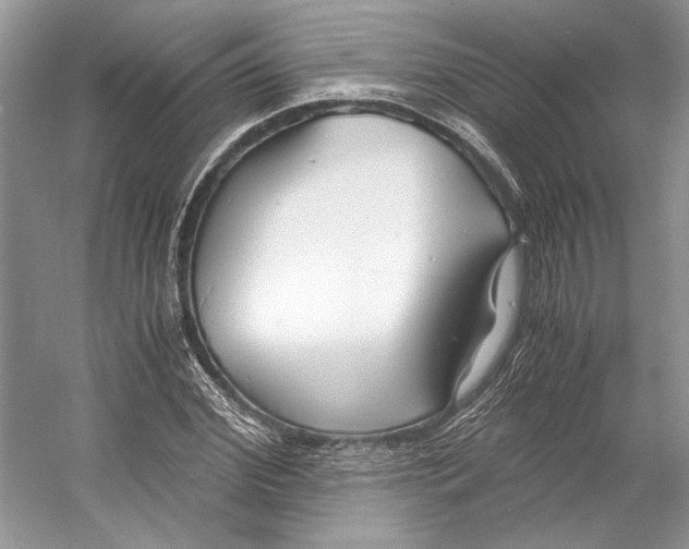 X0000053110972200508081221