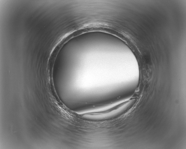 X0000053110973200508081221