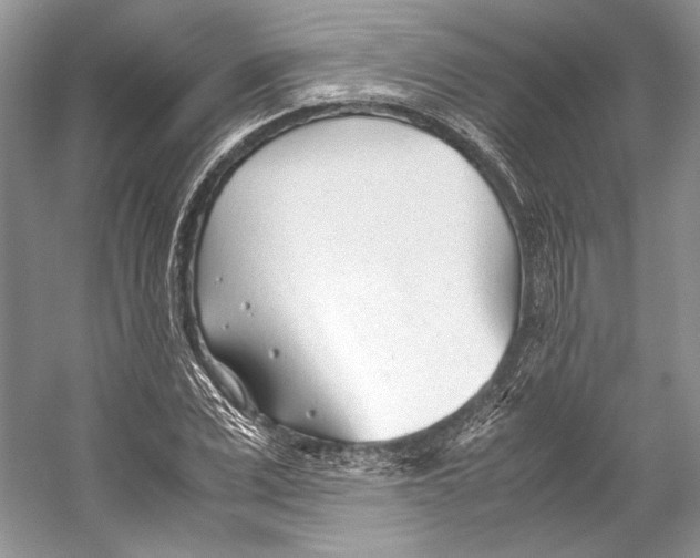 X0000053110975200508081221