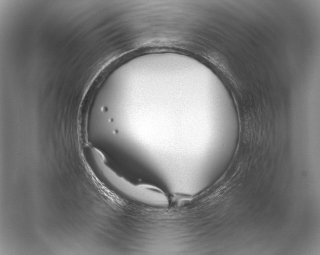 X0000053110976200508081221