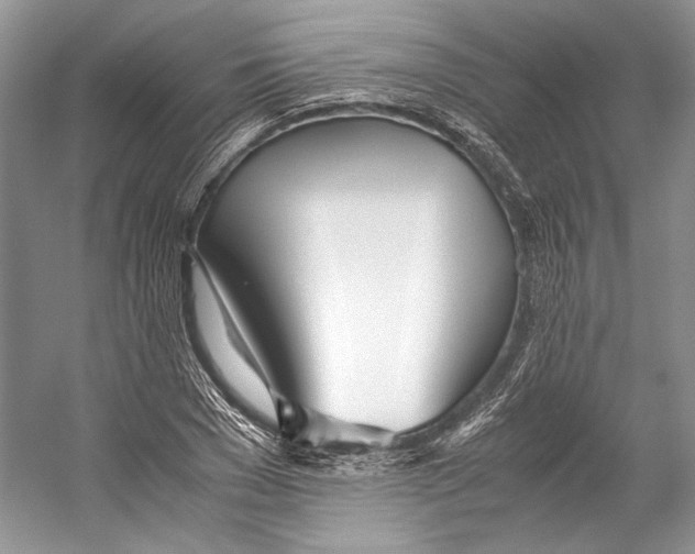 X0000053110977200508081221