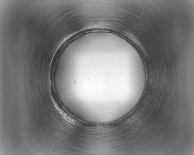 X0000053110980200508081221