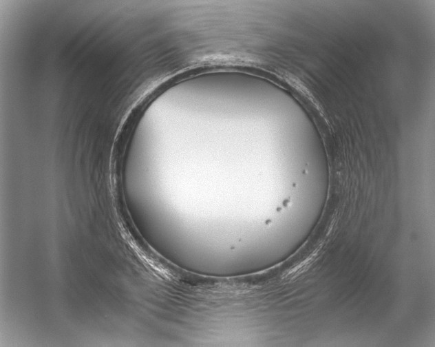 X0000053110981200508081221