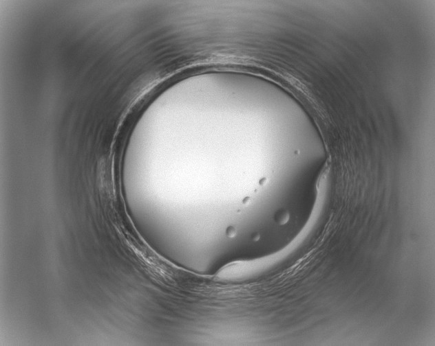 X0000053110982200508081221